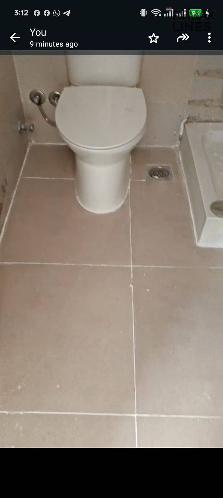 3 1000377964. jpg