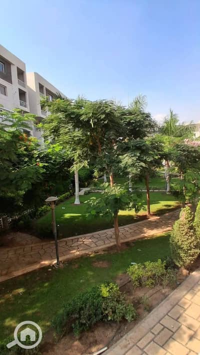 3 Bedroom Apartment for Rent in Madinaty, Cairo - 1000402170. jpg