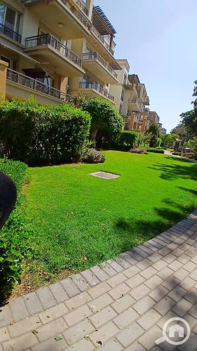 بنتهاوس 3 غرف نوم للبيع في المقطم، القاهرة - 3650d257-b0f1-4f6e-a0c7-13c0b7ac991b. jpg بنتهاوس 3 غرف نوم للبيع في المقطم، القاهرة - 3650d257-b0f1-4f6e-a0c7-13c0b7ac991b. jpg