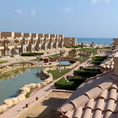 شاليه 1 غرفة نوم للبيع في العين السخنة، السويس - شاليه للبيع من المالك مباشرة لاجولي العين السخنة 70م + روف شاليه 1 غرفة نوم للبيع في العين السخنة، السويس - شاليه للبيع من المالك مباشرة لاجولي العين السخنة 70م + روف