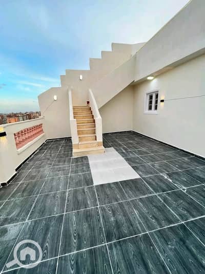 شقة 3 غرف نوم للبيع في النخيل، الإسكندرية - 1000522225. jpg شقة 3 غرف نوم للبيع في النخيل، الإسكندرية - 1000522225. jpg