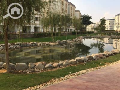 2 Bedroom Penthouse for Sale in New Cairo, Cairo - 78930386-52e8-4f37-a54f-7f0b15f82754. jpg 2 Bedroom Penthouse for Sale in New Cairo, Cairo - 78930386-52e8-4f37-a54f-7f0b15f82754. jpg