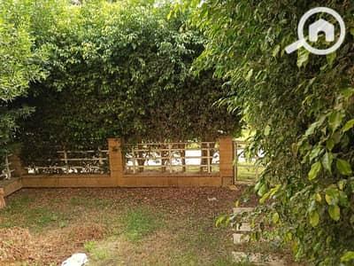 2 Bedroom Flat for Rent in Madinaty, Cairo - WhatsApp Image 2026-10-04 at 8.40. 38 PM (2). jpeg 2 Bedroom Flat for Rent in Madinaty, Cairo - WhatsApp Image 2026-10-04 at 8.40. 38 PM (2). jpeg