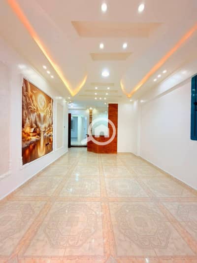 شقة 2 غرفة نوم للبيع في النخيل، الإسكندرية - 1000522246. jpg شقة 2 غرفة نوم للبيع في النخيل، الإسكندرية - 1000522246. jpg