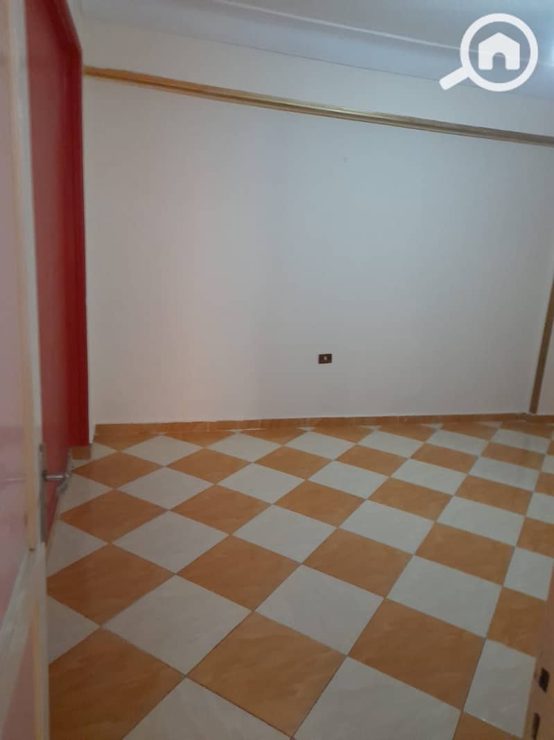 5 6154. jpg