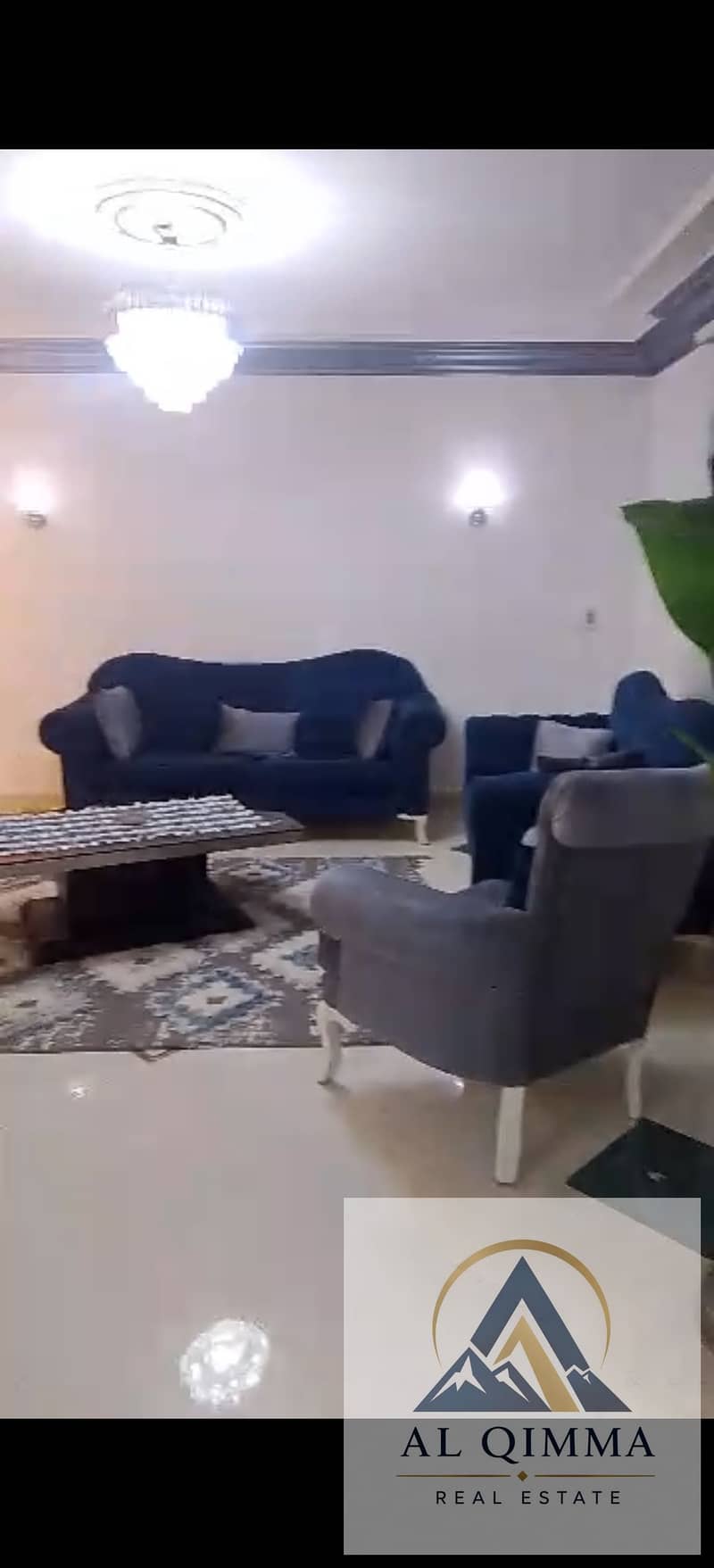 4 309772. jpg