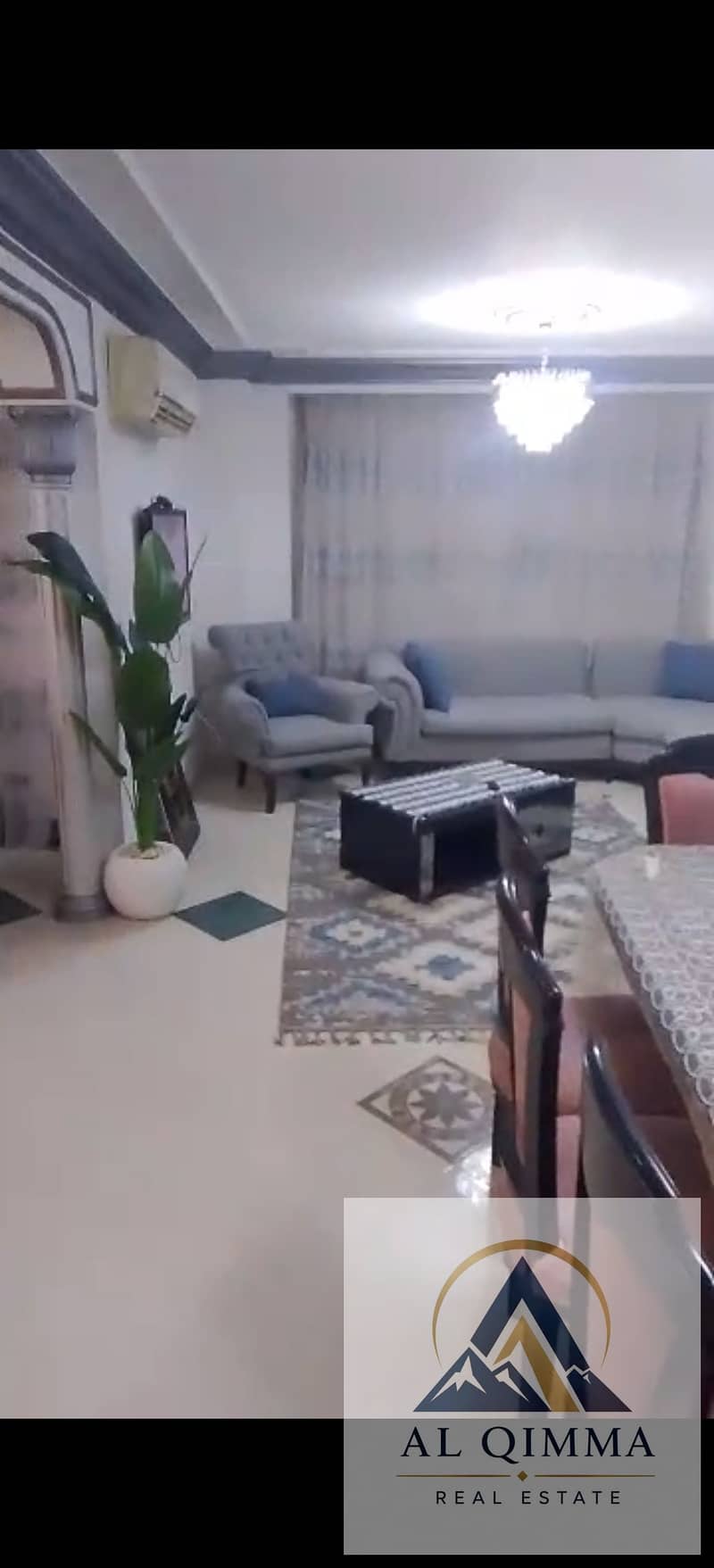 5 309771. jpg