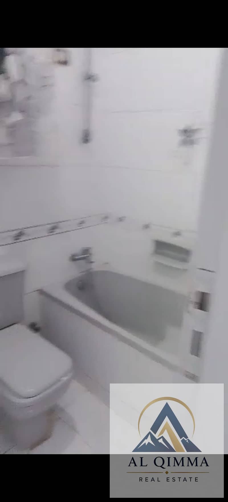 12 309781. jpg