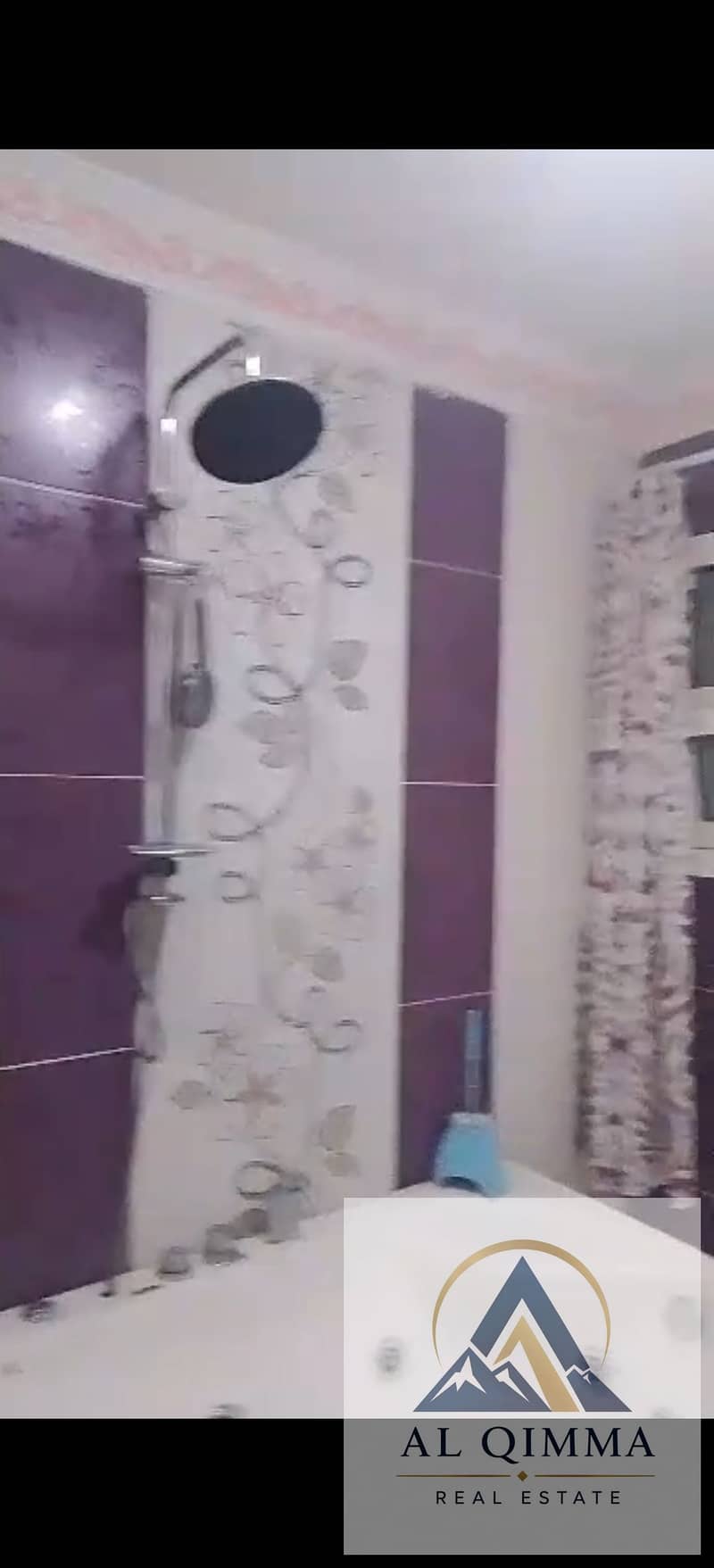 17 309786. jpg