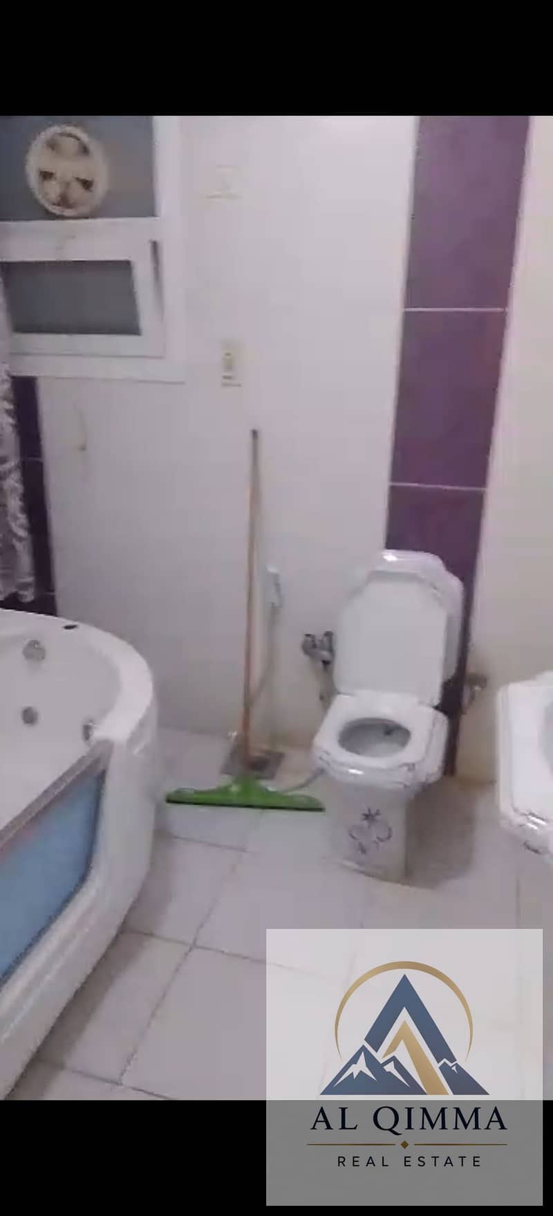 18 309787. jpg