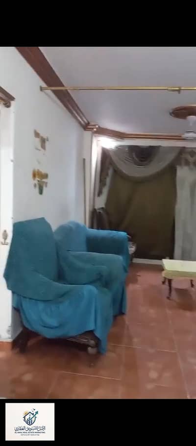 2 Bedroom Flat for Rent in Maadi, Cairo - 1000293208. jpg 2 Bedroom Flat for Rent in Maadi, Cairo - 1000293208. jpg