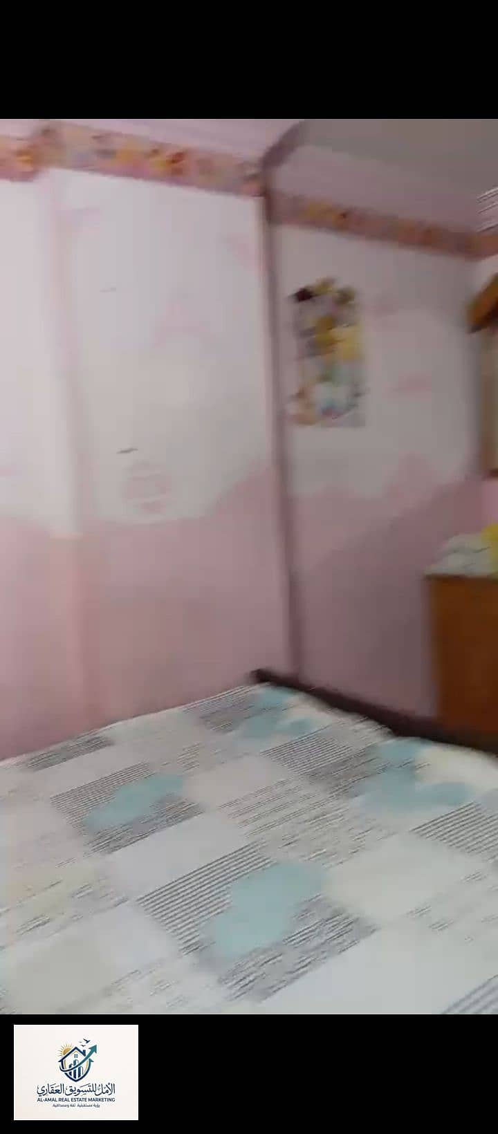 7 1000293240. jpg