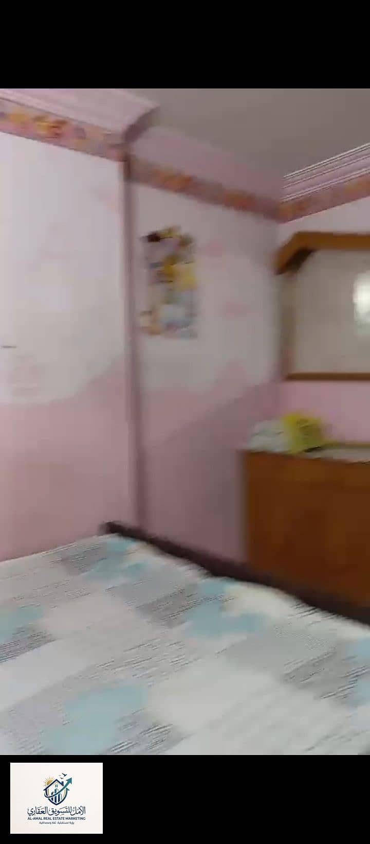 8 1000293245. jpg