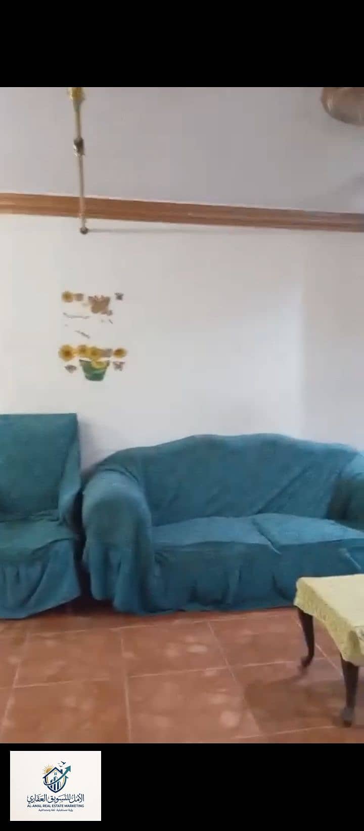 9 1000293221. jpg