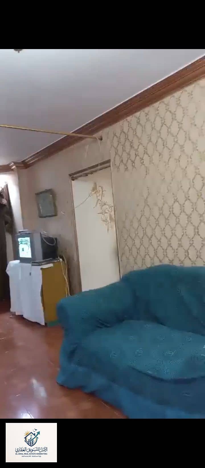 10 1000293210. jpg