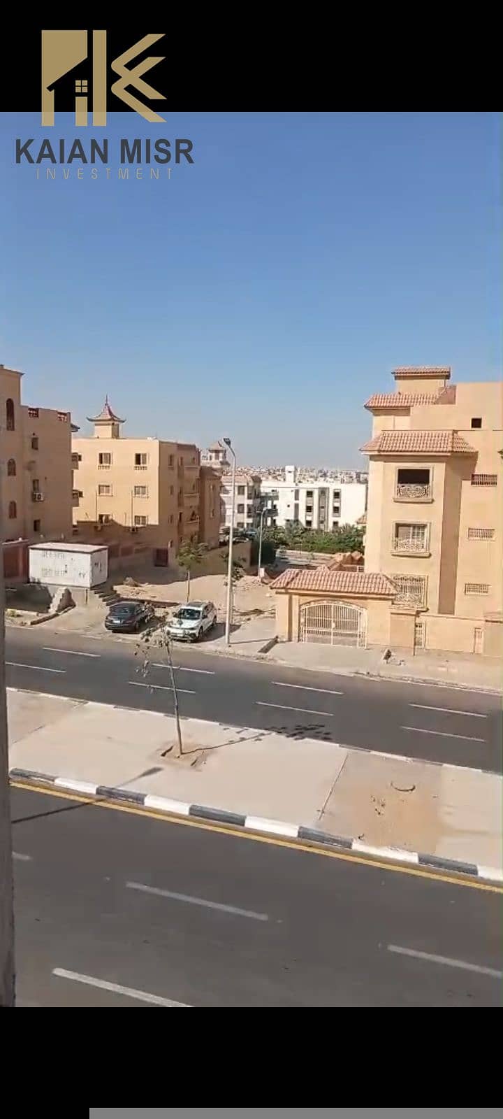 3 16336. jpg
