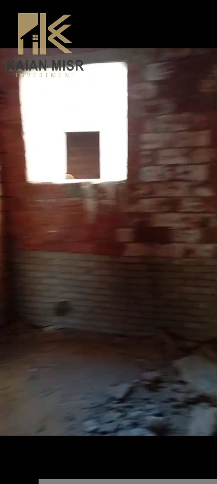 7 16342. jpg