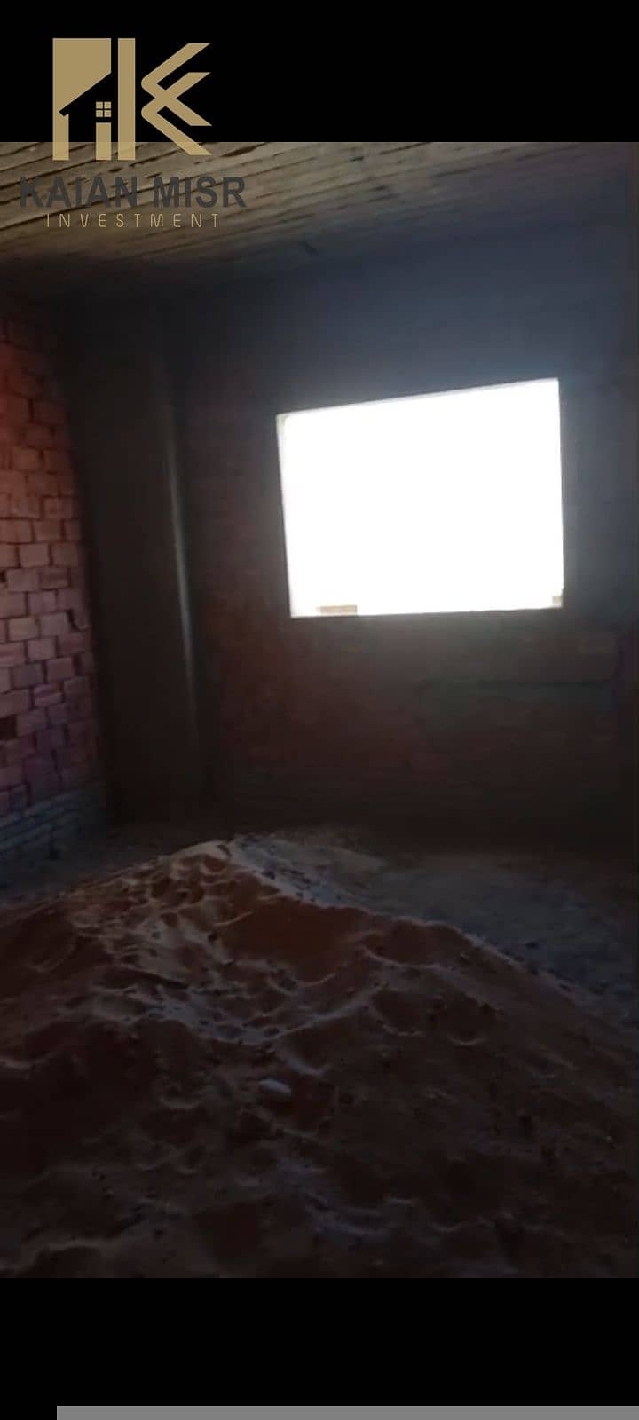 8 16343. jpg