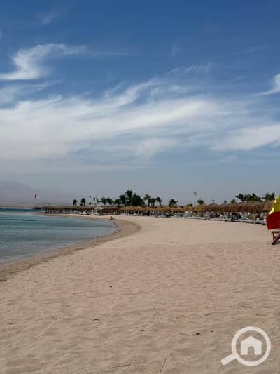 3 Bedroom Villa for Sale in Soma Bay, Red Sea - WhatsApp Image 2026-10-04 at 5.34. 37 PM. jpeg
