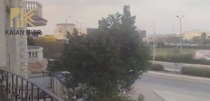 7 16355. jpg