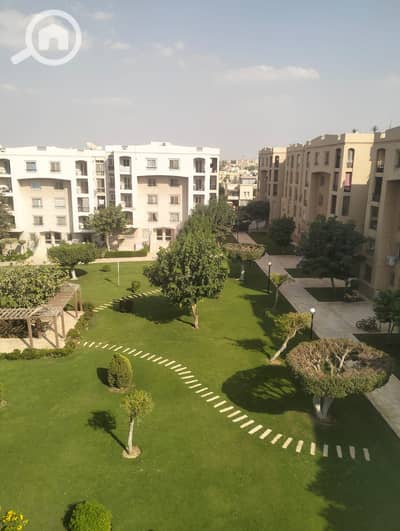 2 Bedroom Apartment for Rent in New Cairo, Cairo - 1001087801. jpg