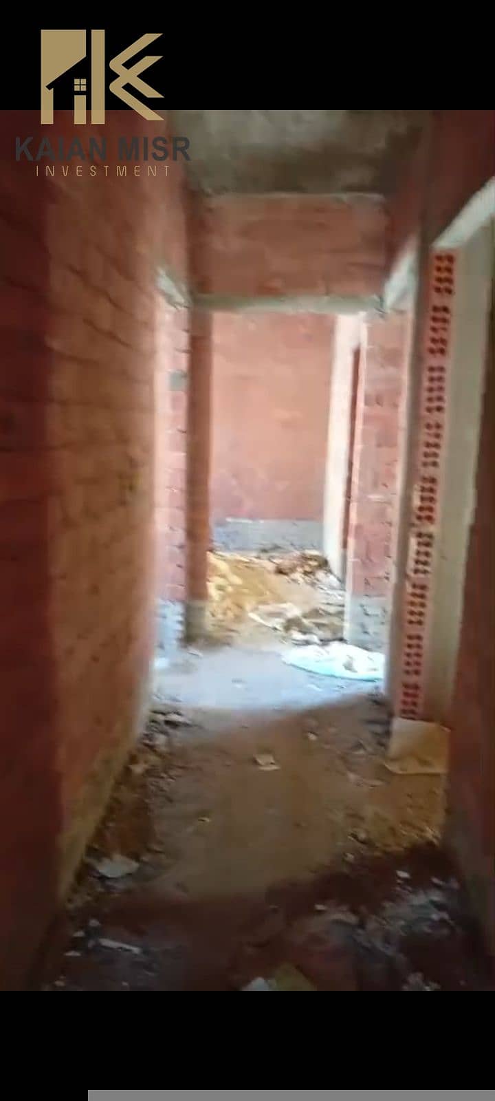 5 16339. jpg
