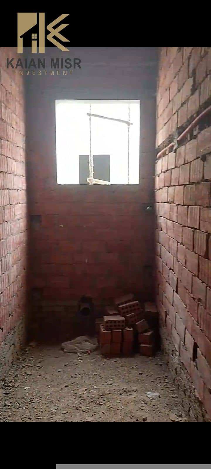 8 16361. jpg
