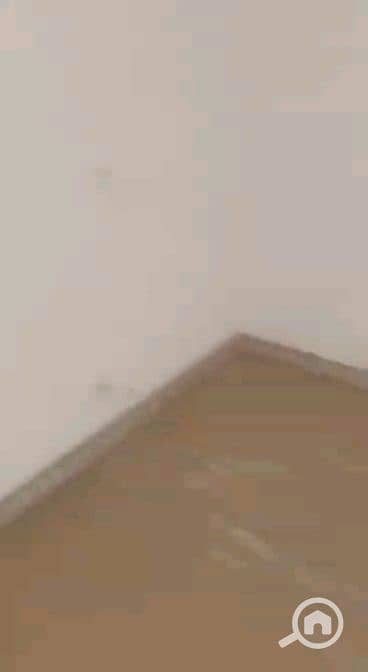 12 vf_VID-20261004-WA0008_184000. jpeg