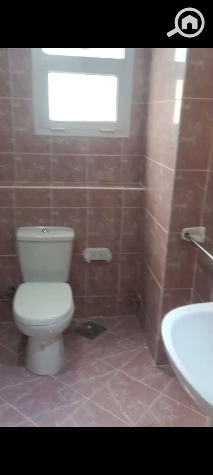 8 105964. jpg