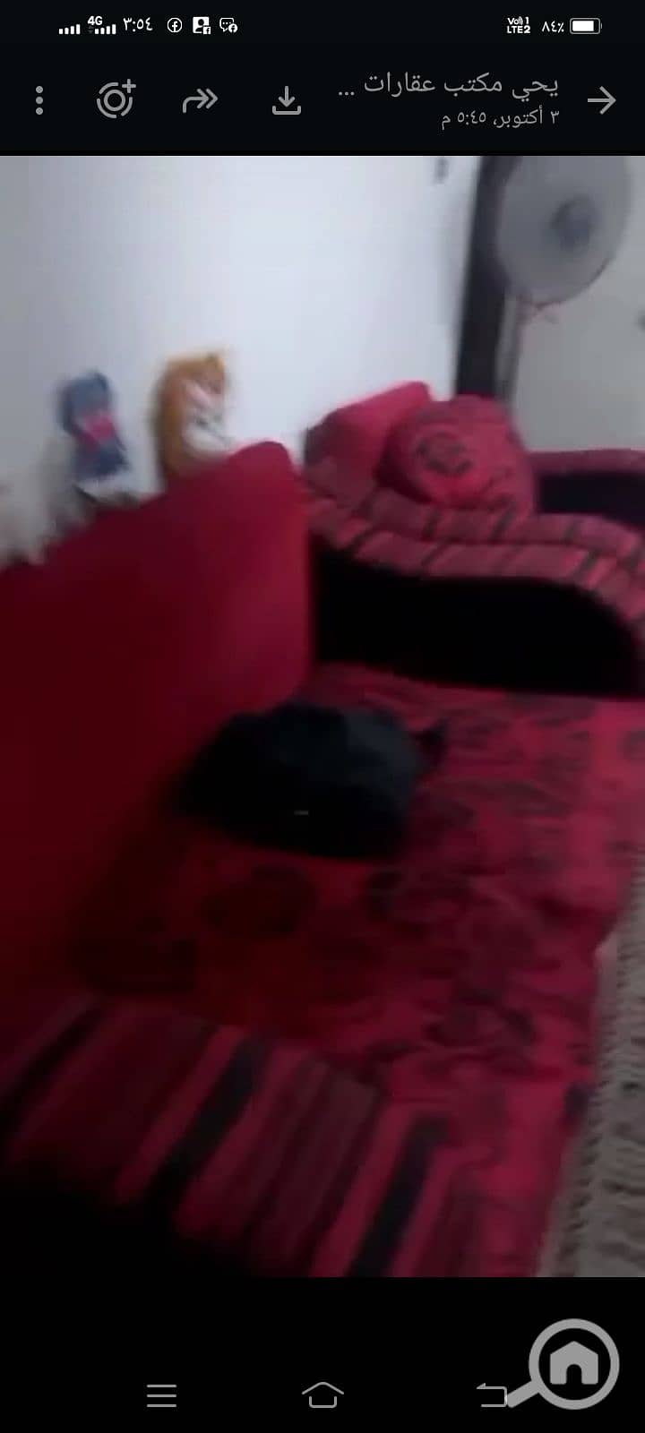 6 1000967966. jpg