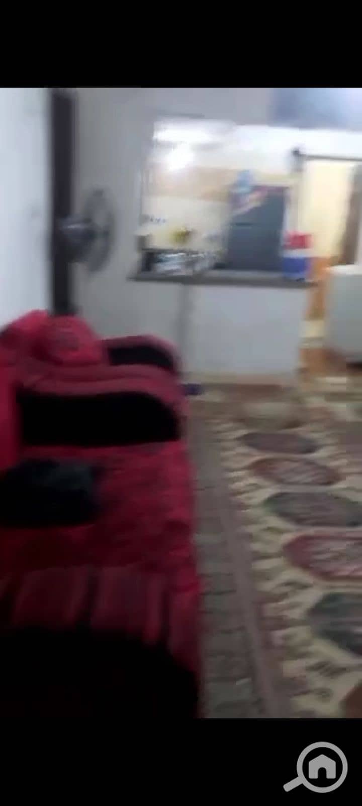 8 1000967964. jpg