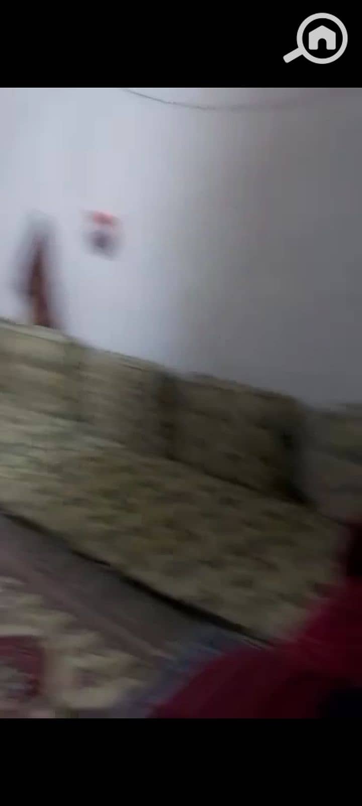 9 1000967965. jpg