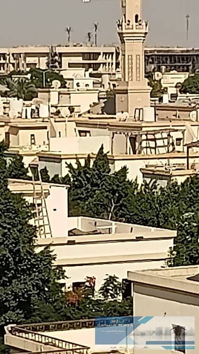 2 Bedroom Apartment for Rent in Madinaty, Cairo - WhatsApp Image 2026-10-05 at 3.00. 51 PM (3). jpeg 2 Bedroom Apartment for Rent in Madinaty, Cairo - WhatsApp Image 2026-10-05 at 3.00. 51 PM (3). jpeg