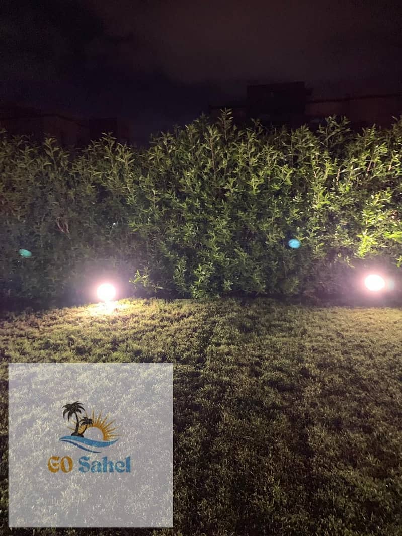 3 1000851600. jpg