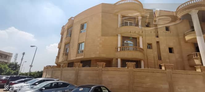 فلیٹ 3 غرف نوم للبيع في القاهرة الجديدة، القاهرة - 302d60e9-5641-4d4b-adc1-61fa61a8595d. jpeg فلیٹ 3 غرف نوم للبيع في القاهرة الجديدة، القاهرة - 302d60e9-5641-4d4b-adc1-61fa61a8595d. jpeg