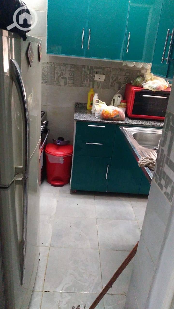 11 3629951a-ae93-48e4-8fbe-31474d4976af. jpg