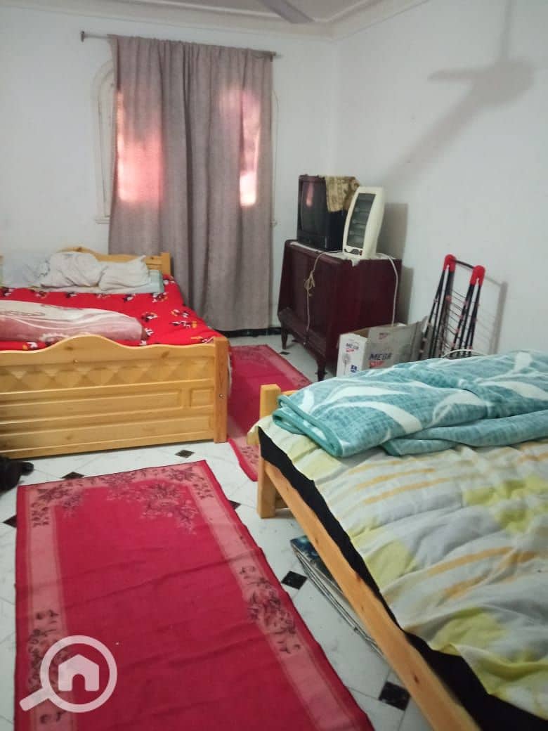 3 15911. jpg