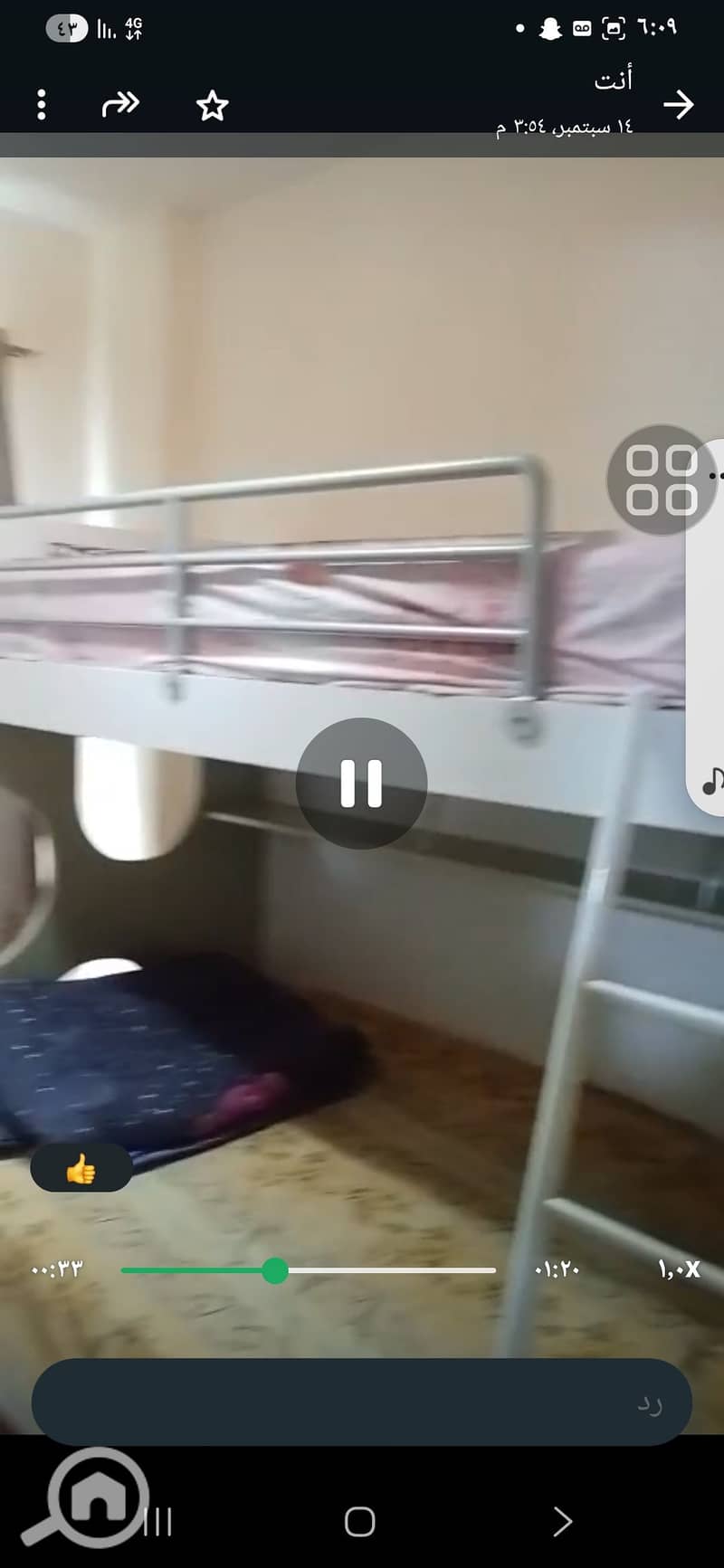 5 1000797509. jpg