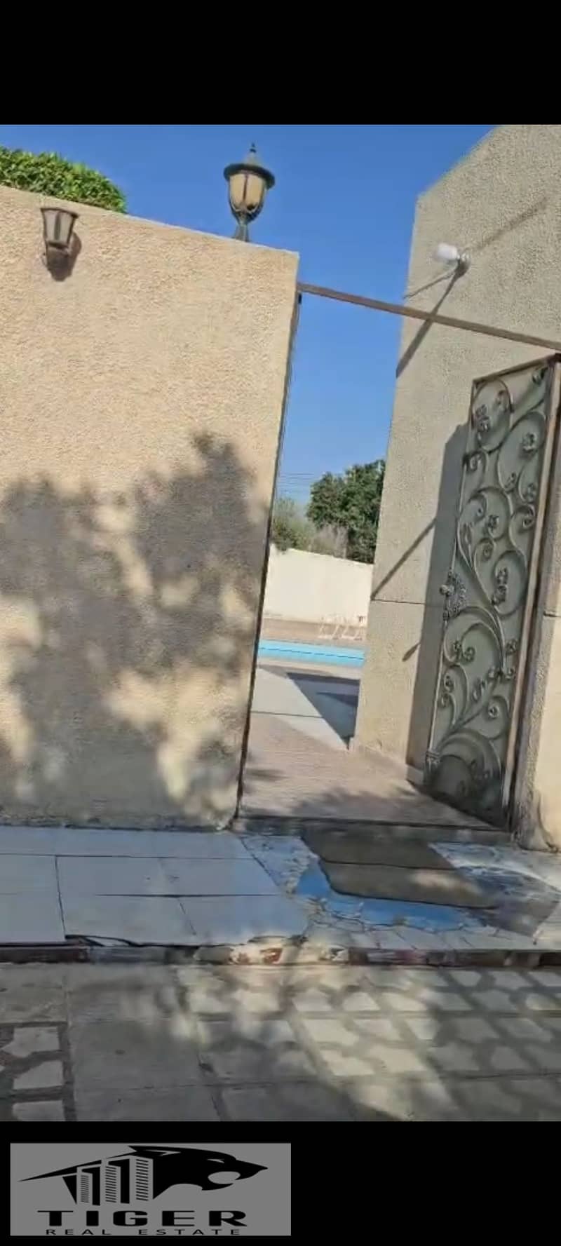 8 1000917612. jpg