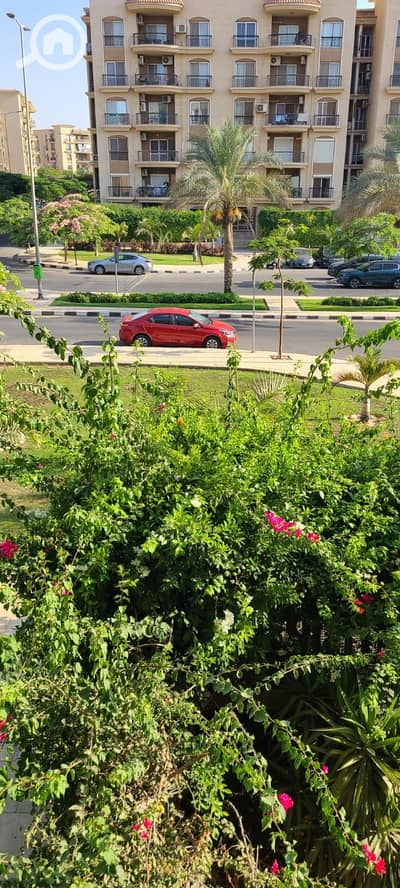 3 Bedroom Apartment for Sale in New Cairo, Cairo - WhatsApp Image 2026-10-05 at 6.28. 20 PM (4). jpeg 3 Bedroom Apartment for Sale in New Cairo, Cairo - WhatsApp Image 2026-10-05 at 6.28. 20 PM (4). jpeg