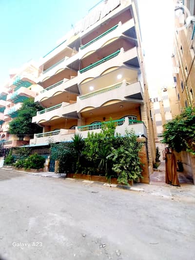 شقة 3 غرف نوم للبيع في النخيل، الإسكندرية - 1000522529. heic
