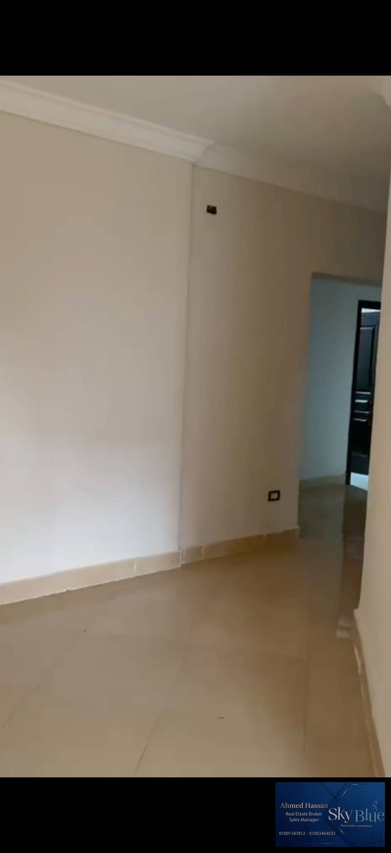 5 416091. jpg
