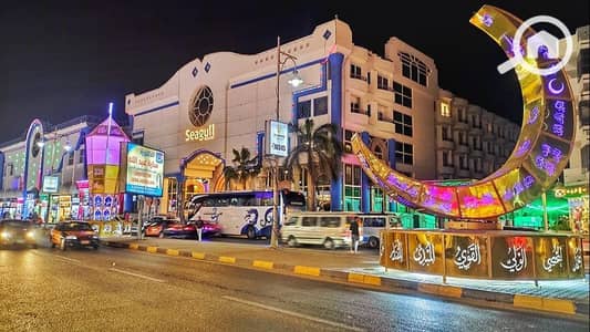 2 Bedroom Flat for Rent in Hurghada, Red Sea - 8884787. jpg