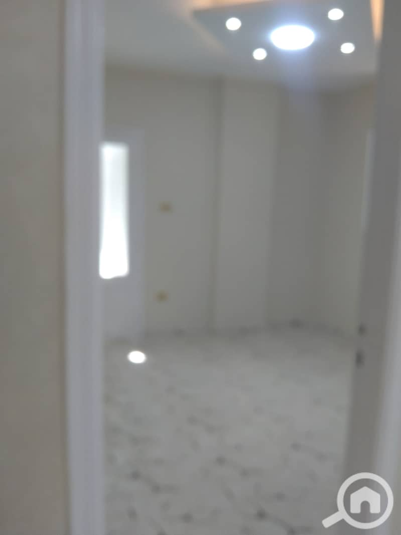 5 1000952446. jpg