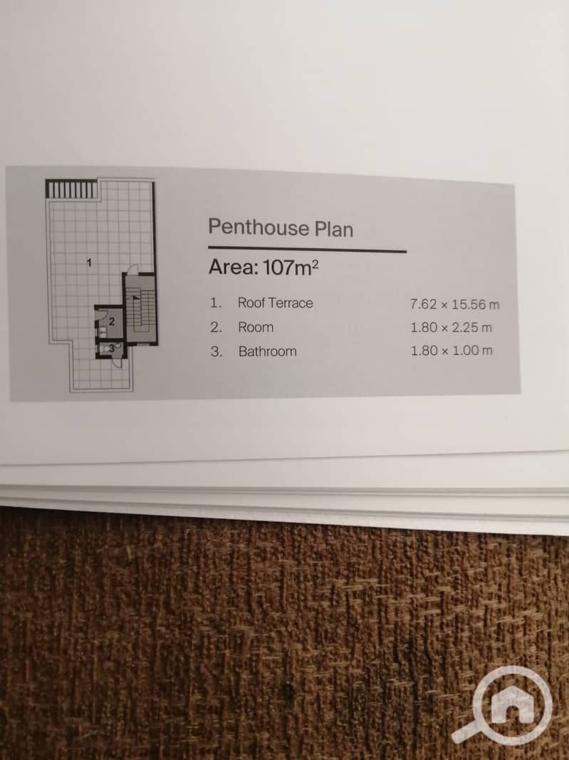8 1000338822. jpg