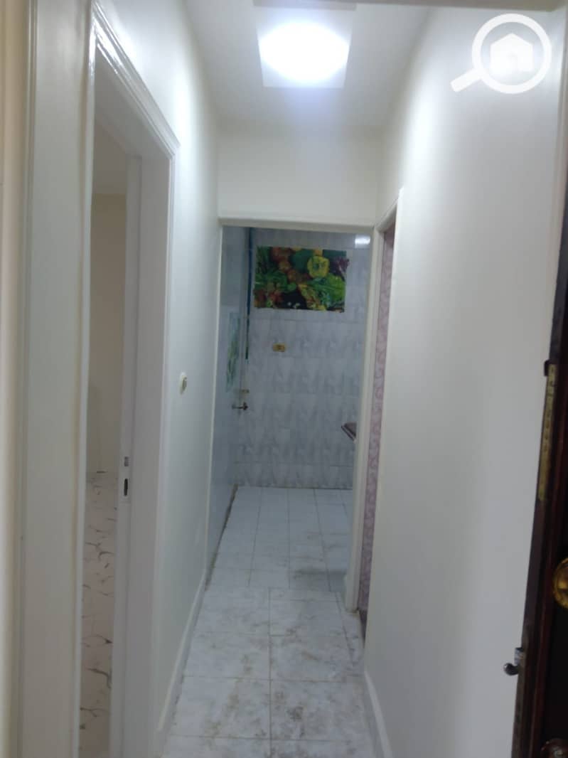 5 132449. jpg