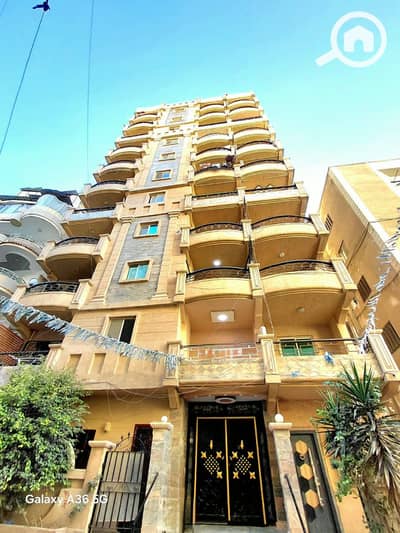 فلیٹ 2 غرفة نوم للبيع في النخيل، الإسكندرية - 1000728067. jpg