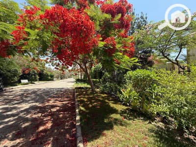 4 Bedroom Villa for Sale in 6th of October, Giza - WhatsApp Image 2026-10-06 at 10.48. 28 AM. jpeg