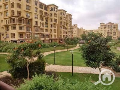 3 Bedroom Apartment for Rent in Madinaty, Cairo - WhatsApp Image 2026-10-06 at 12.15. 40 PM. jpeg 3 Bedroom Apartment for Rent in Madinaty, Cairo - WhatsApp Image 2026-10-06 at 12.15. 40 PM. jpeg