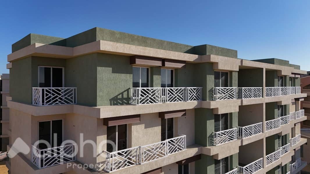 3 WhatsApp Image 2026-10-06 at 12.42. 36. jpeg